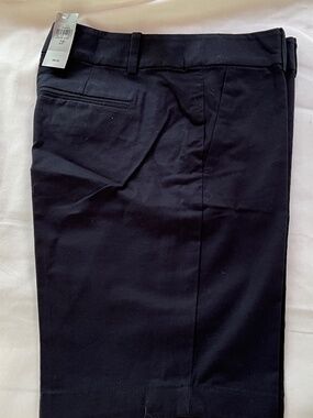 Ann Taylor Boardwalk Shorts 2P